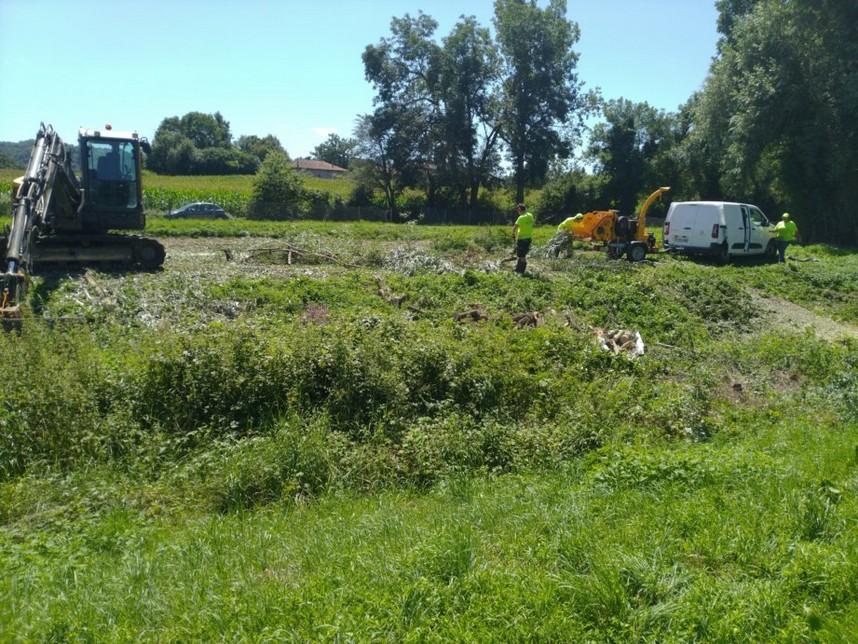 Travaux forestiers