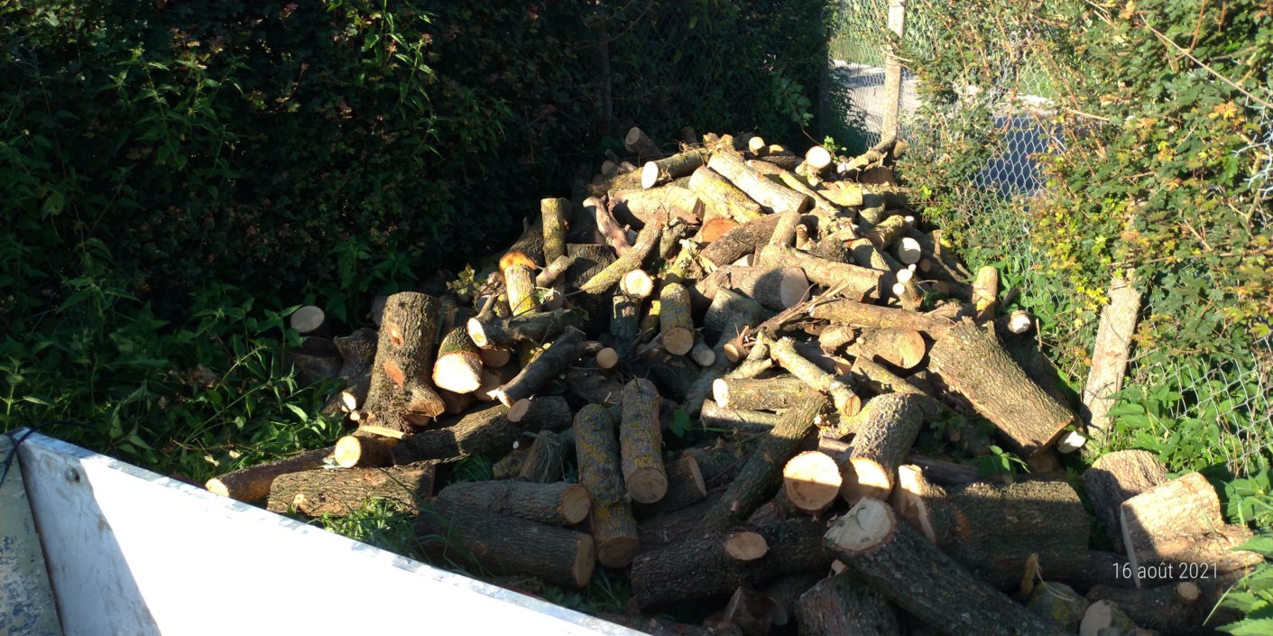 Travaux forestiers