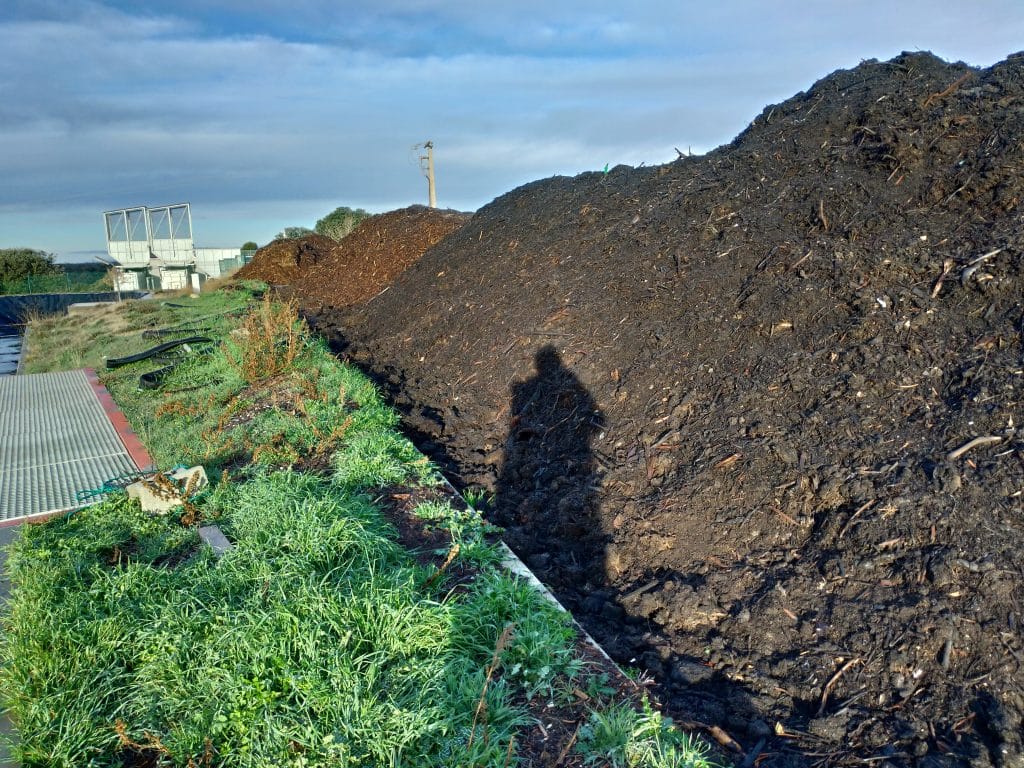 Sludge treatment before valorization 